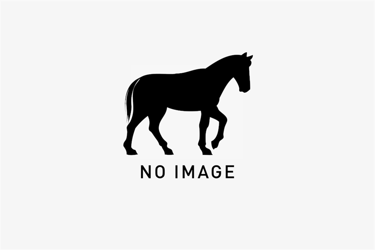 Equusの画像1枚目