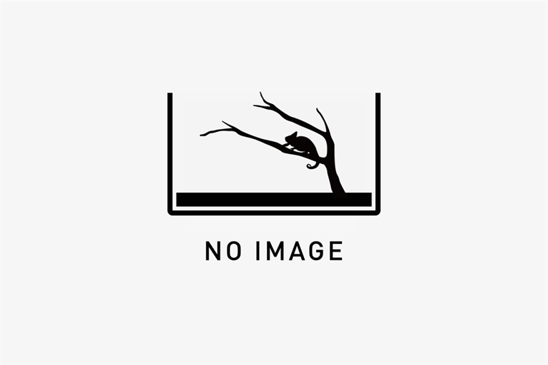 パンテオン4535 black W450×D300×H350 カナヘビ幼体の画像1枚目