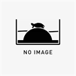 60cmワイド オーバーフロー アクアテラリウム水槽の飼育記録（2024-04-04 16:40）の画像1枚目