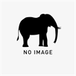 Savannah × Forest Elephant（Loxodonta africana × cyclotis）
