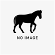 Burchell&#039;s × Chapman&#039;s Zebra（Equus quagga burchellii × chapmani）